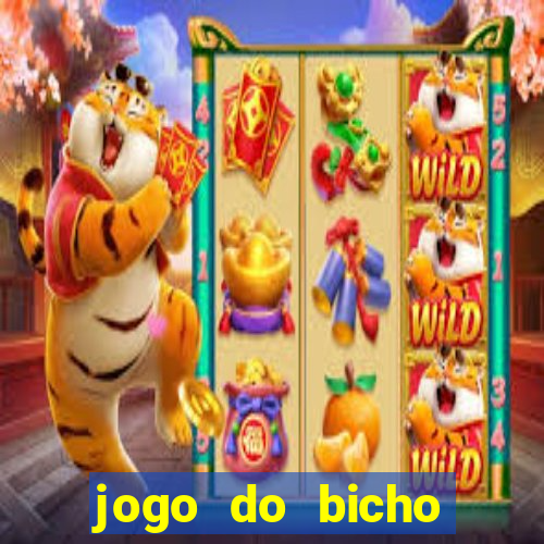 jogo do bicho crash bingo