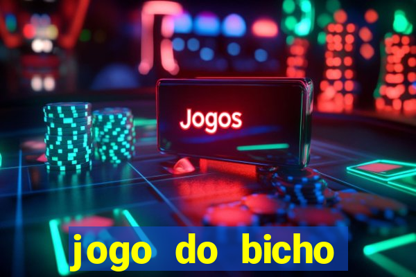 jogo do bicho crash bingo