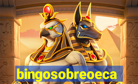 bingosobreoeca