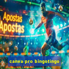 canva pro bingotingo