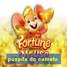 puxada do camelo