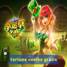 fortune coelho grátis