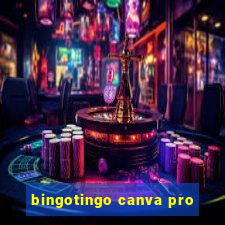 bingotingo canva pro