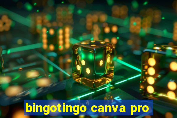 bingotingo canva pro