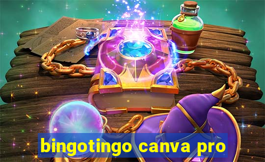 bingotingo canva pro