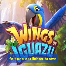 fortuna carlinhos brown