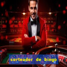 sorteador de bingo 90 bolas online